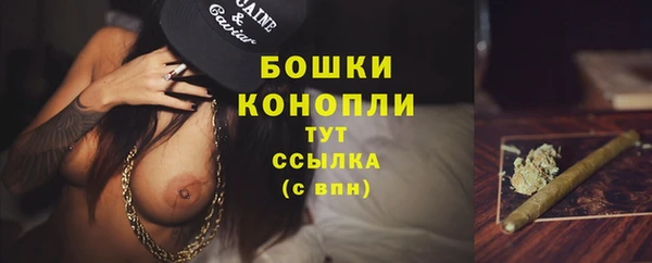 стаф Горно-Алтайск