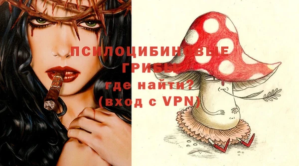 стаф Горно-Алтайск